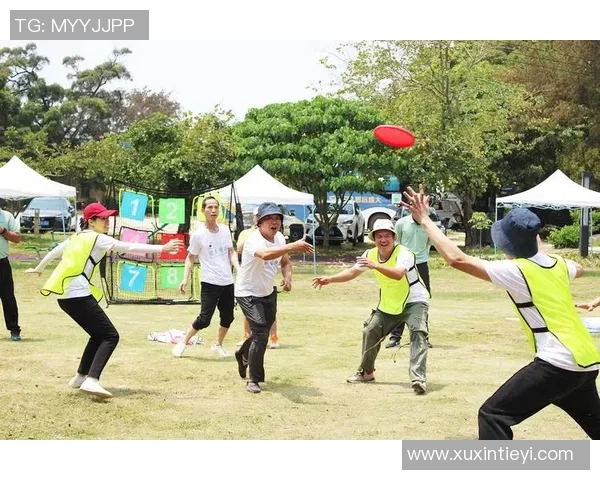 飞盘新手必看：全面解析飞盘技巧与实用入门指南